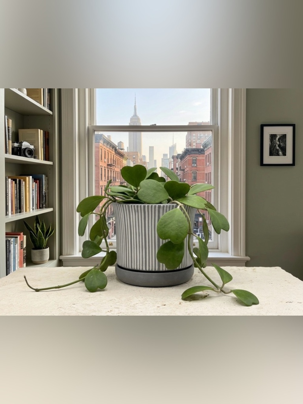 Modern Ribbed Ceramic Planter with Saucer - 6 Inch Round Grey and White Striped